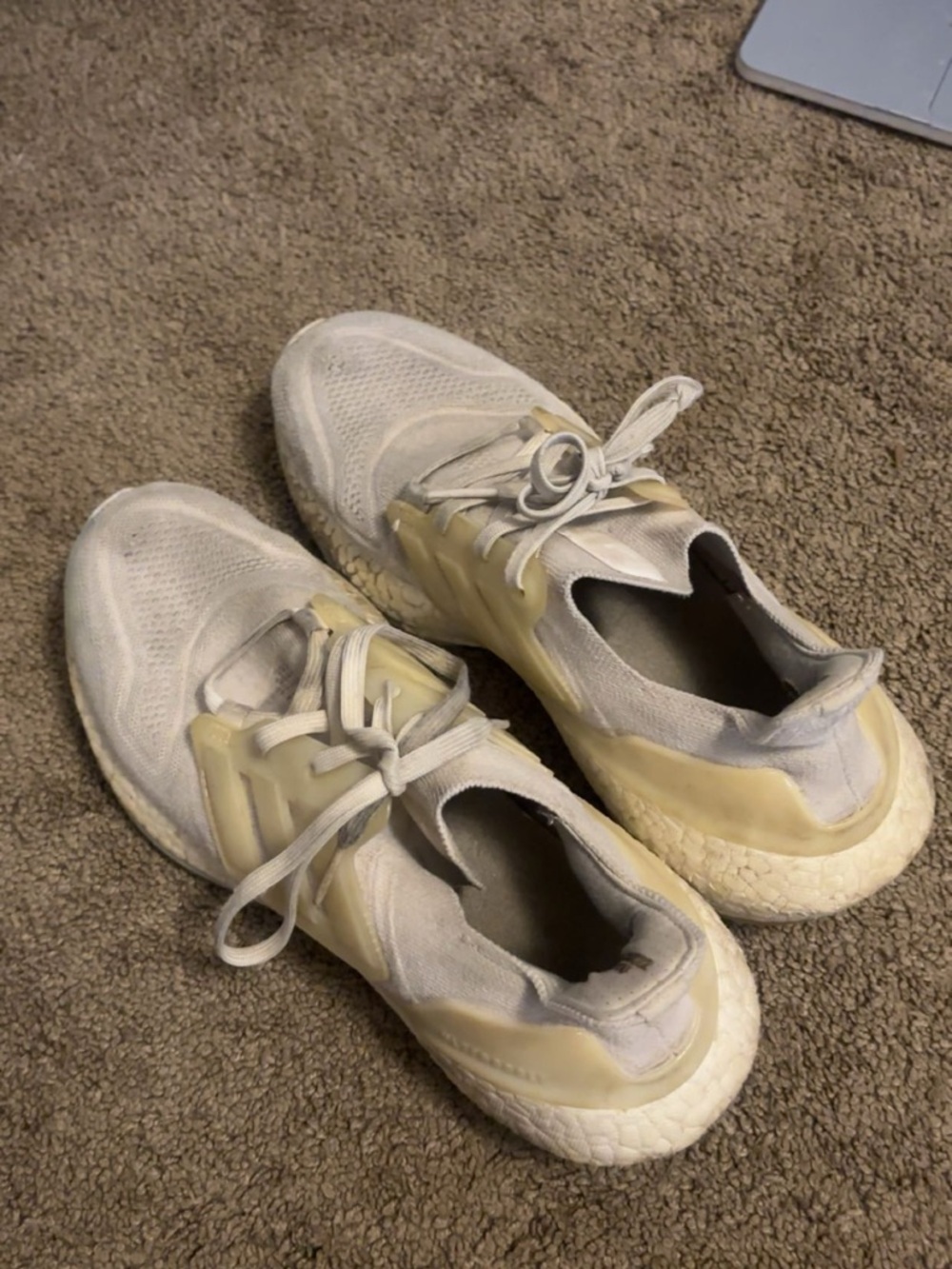 White Knit Lace-Up Sneakers with Cream Cage